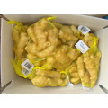 Wholesale High Quality Fresh Ginger Supplier For Air Dried Ginger